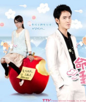 Fated to Love You (Taiwanese) (2008)